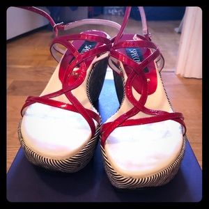 Red wedges